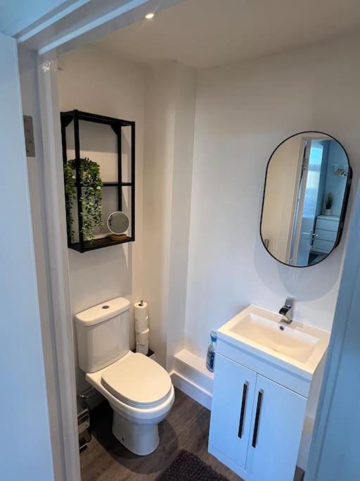 Abbotsbury 1 Bed Studio Opposite Uwe Free Parking Bristol Exterior photo